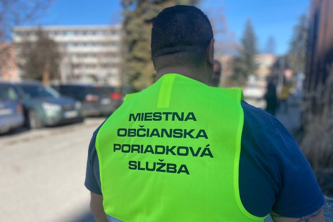 Miestne občianske poriadkové služby (MOPS)